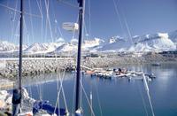 [Sūla Tromsoēnsis]